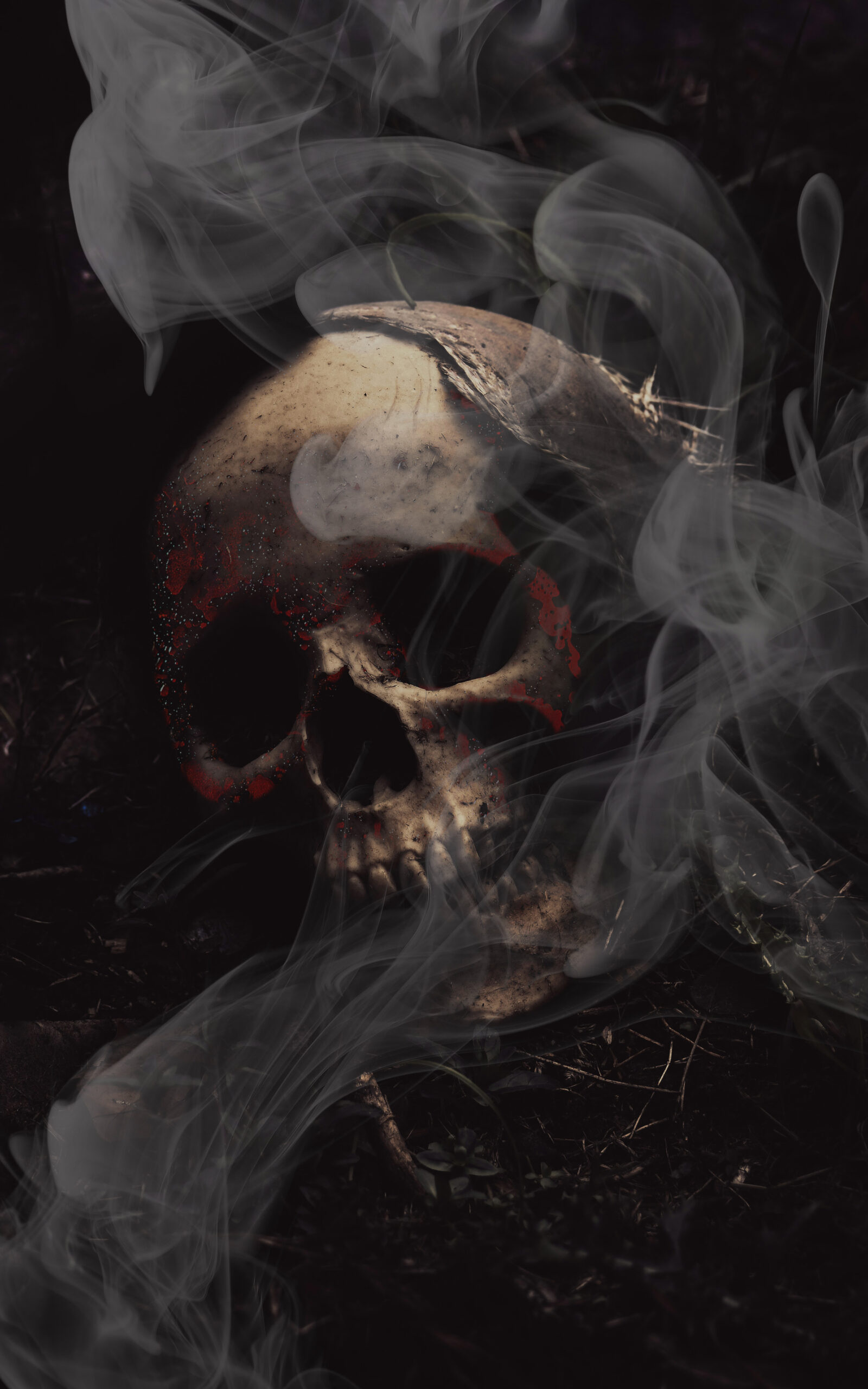 //www.authormaf.com/wp-content/uploads/2025/04/SA_temp-cover-scaled.jpg
